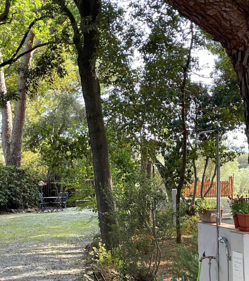 Agriturismo Podere Campalto Campiglia Marittima Exterior photo