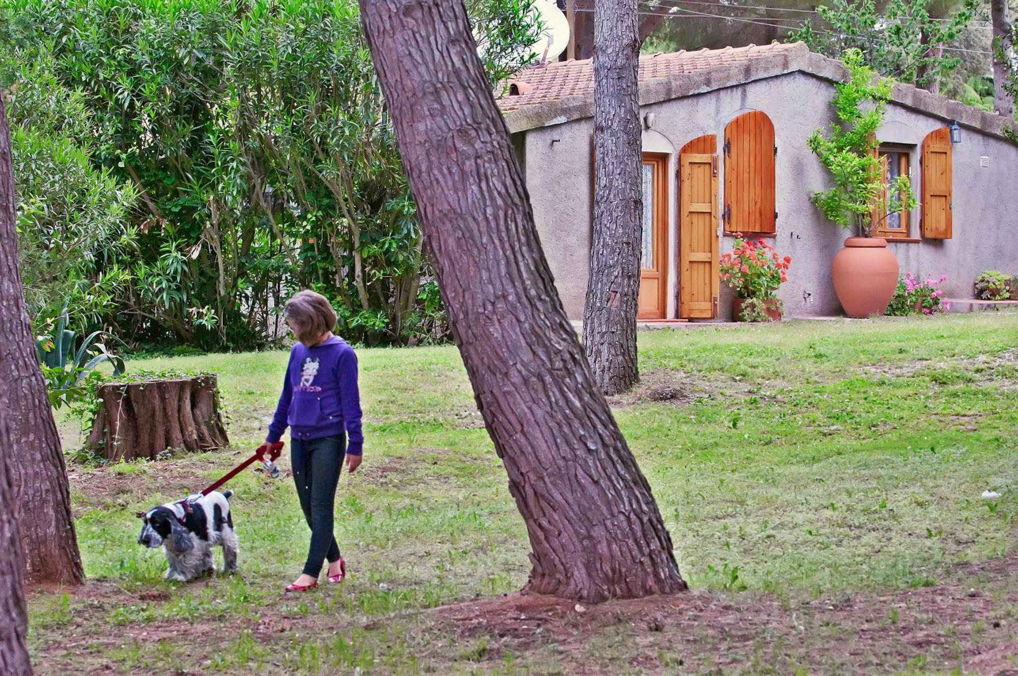 Agriturismo Podere Campalto Campiglia Marittima Room photo