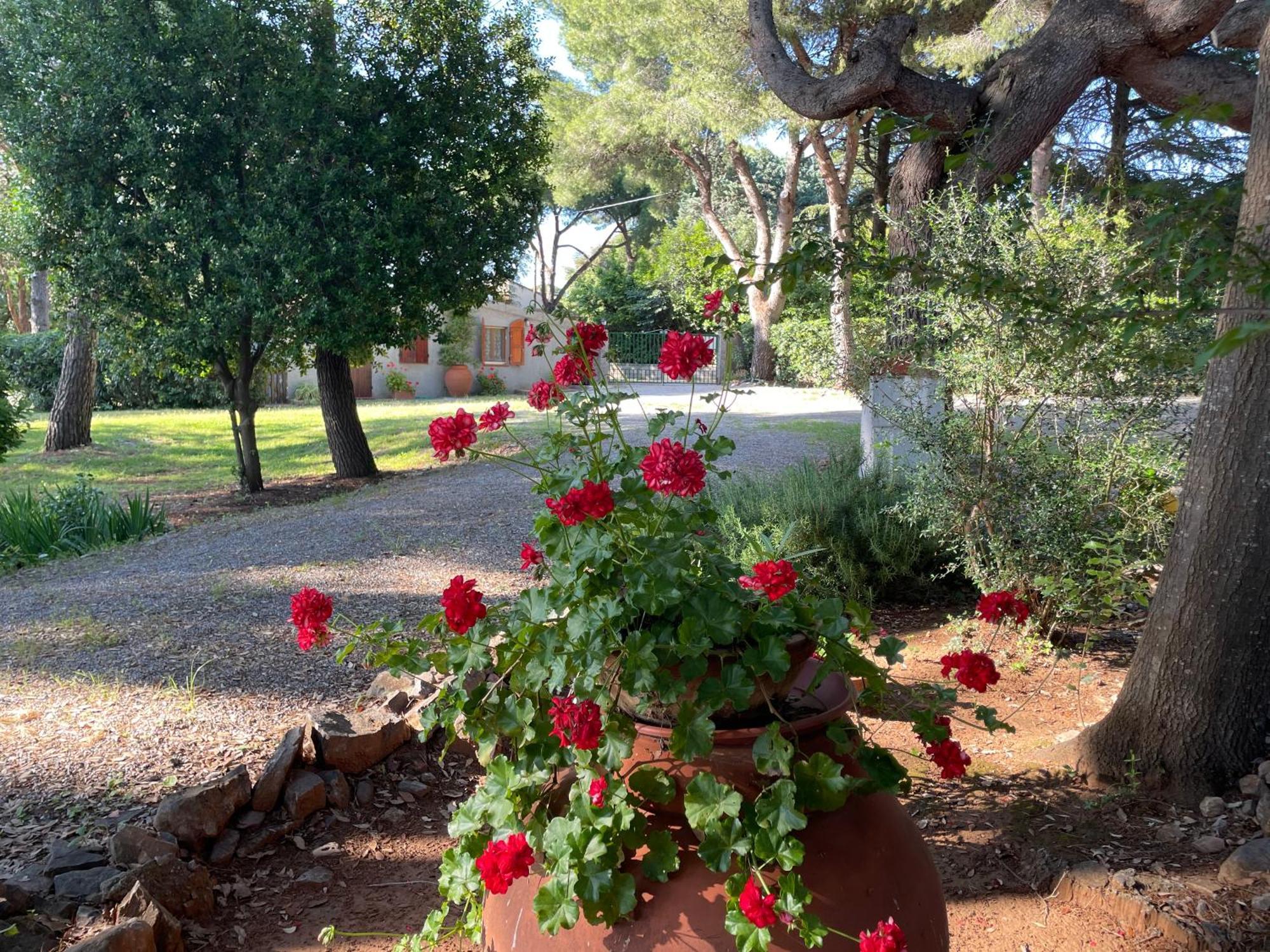 Agriturismo Podere Campalto Campiglia Marittima Exterior photo