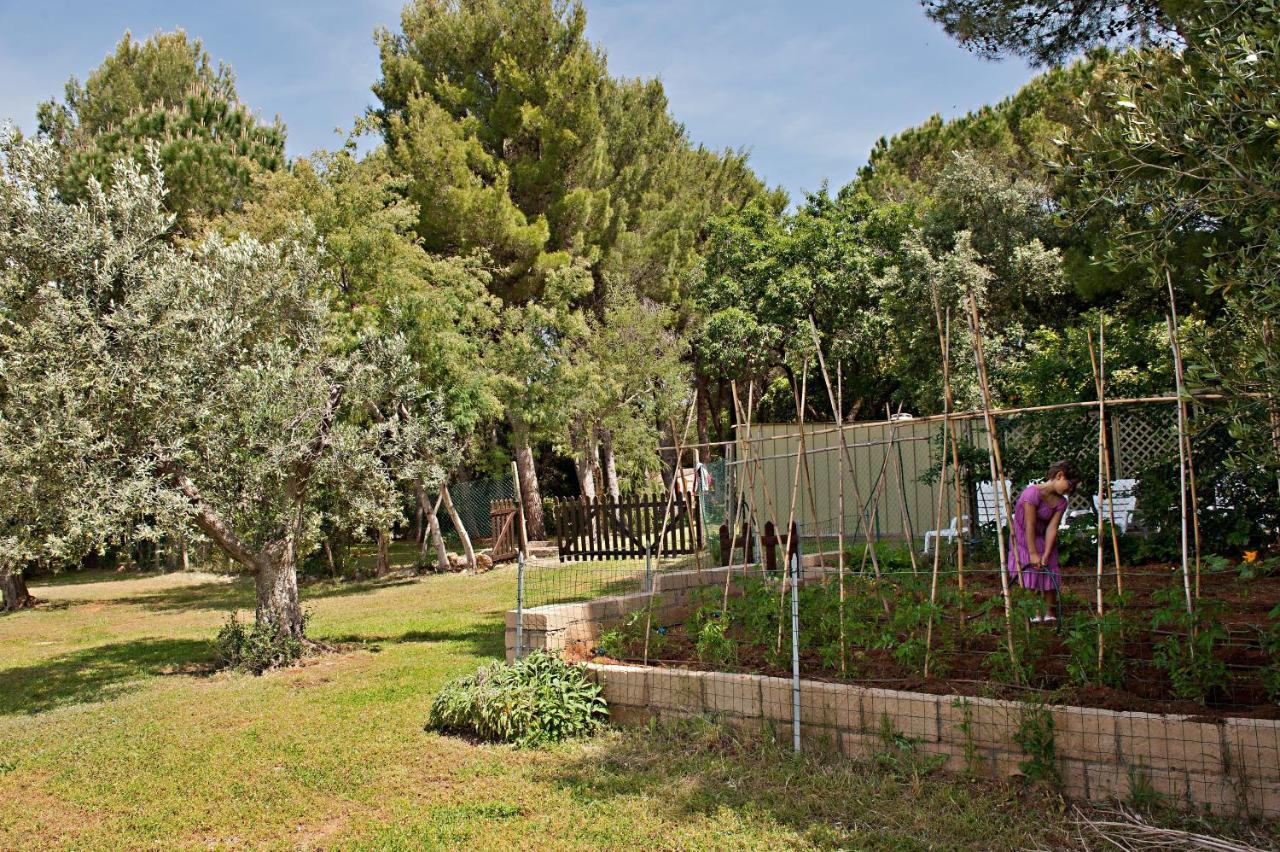 Agriturismo Podere Campalto Campiglia Marittima Exterior photo